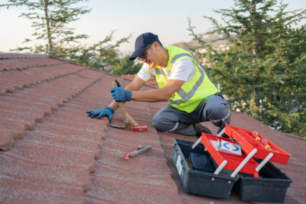 Roof Gutter Cleaning in Dimmitt, TX