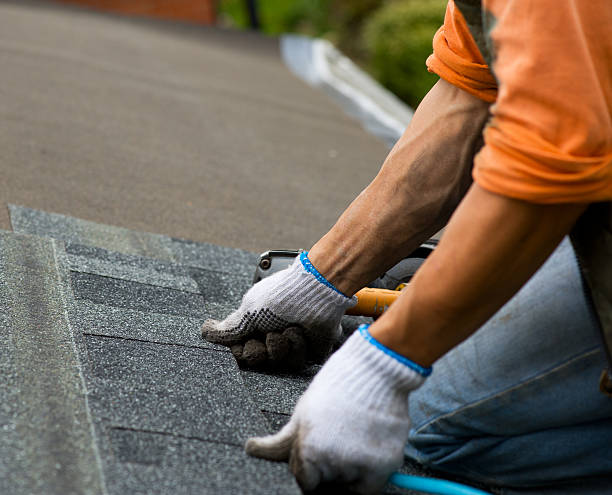 Professional Roofing Contractor in Dimmitt, TX